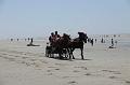 _D3X2212-Marathon des dunes de Fland